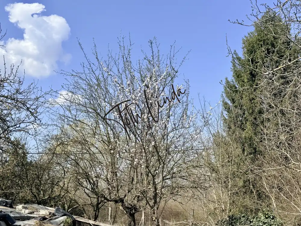 Komárom-Esztergom megye - Oroszlány