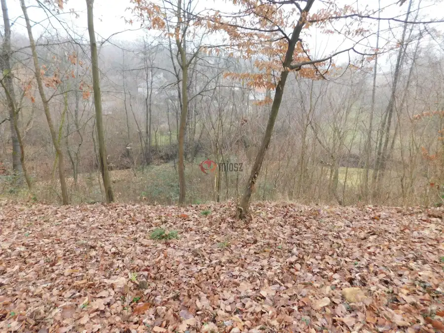 eladó  Építési telek, Parád