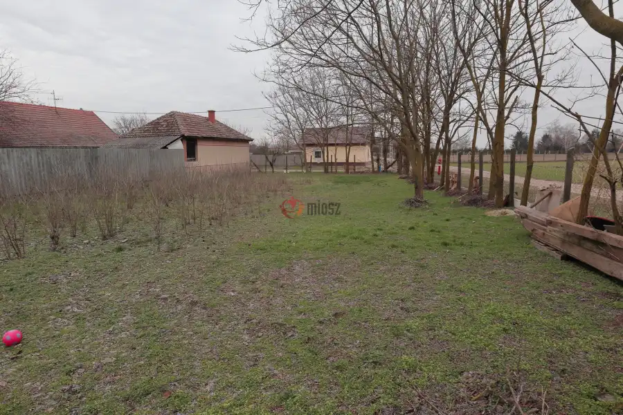 eladó  Építési telek, Sándorfalva
