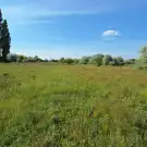 Fejér megye - Székesfehérvár