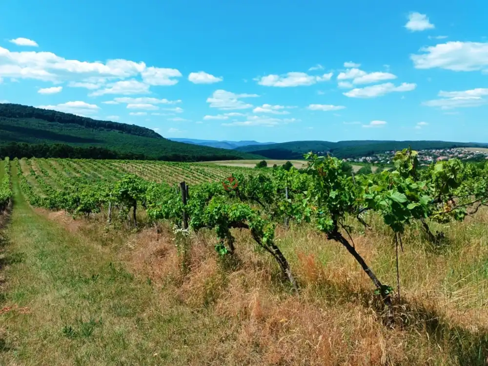 Nógrád megye - Szendehely