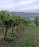 Nógrád megye - Szendehely