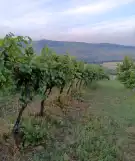 Nógrád megye - Szendehely