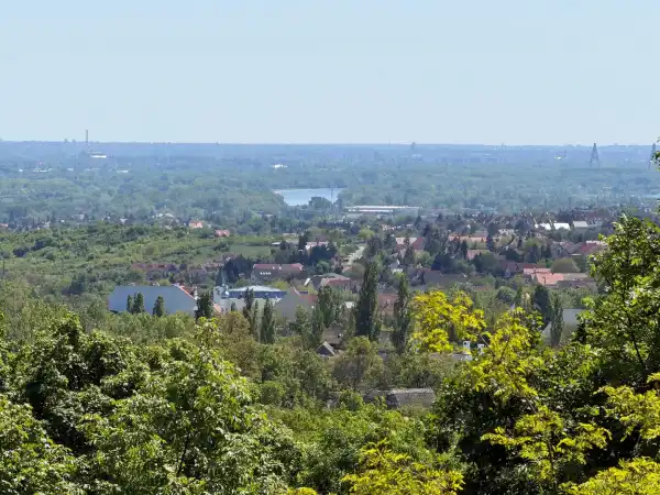 Eladó Építési telek, Szentendre 1590 m² 60 M Ft