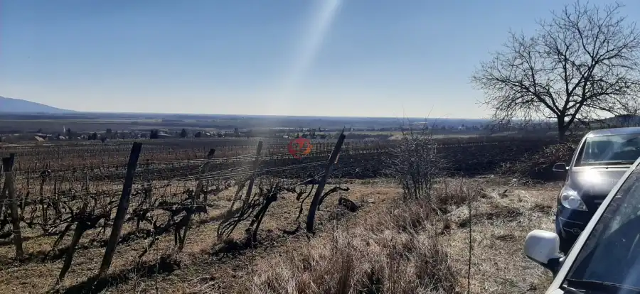 eladó  Építési telek, Szerencs