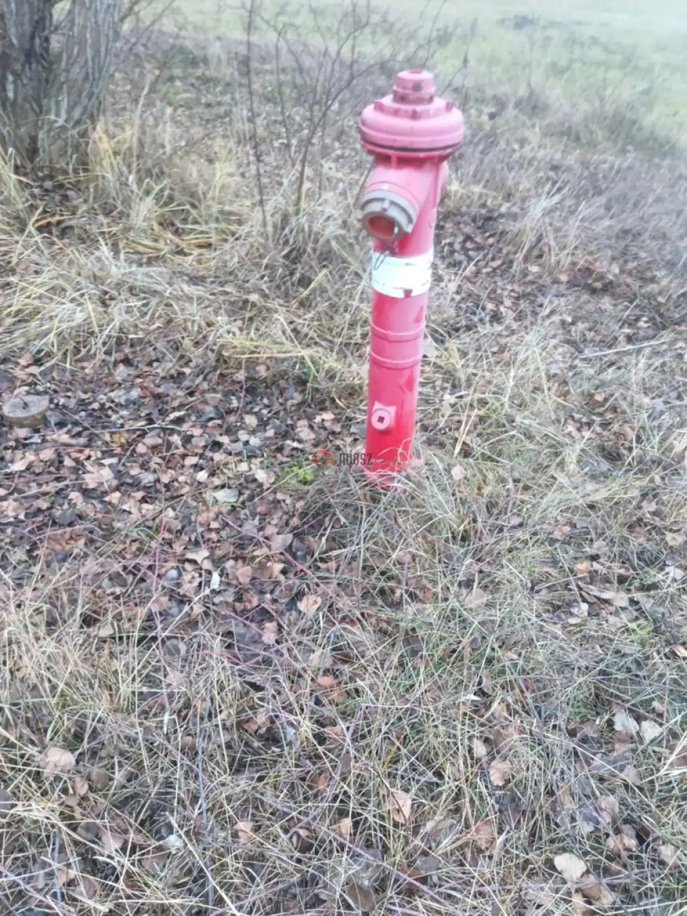 Pest megye - Szigetszentmiklós