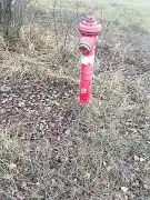 Pest megye - Szigetszentmiklós