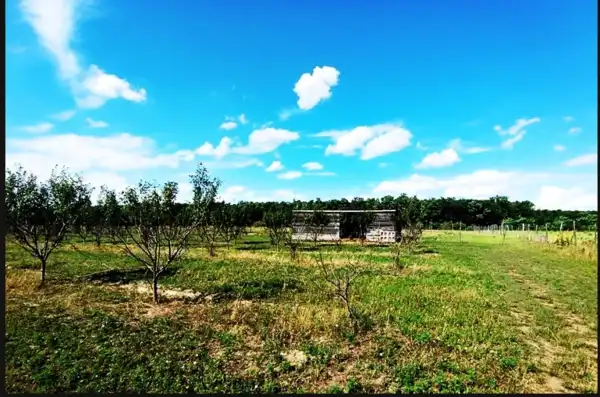 Eladó Építési telek, Sződ 150000 m² 320 M Ft
