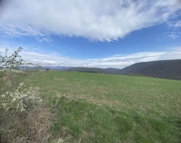 Eladó Építési telek, Szokolya 5277 m² 49.9 M Ft