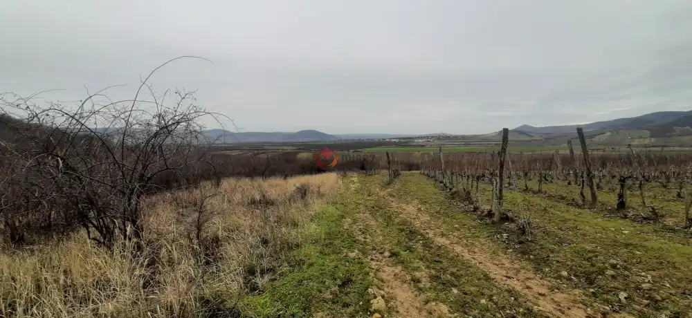 Borsod-Abaúj-Zemplén megye - Tállya