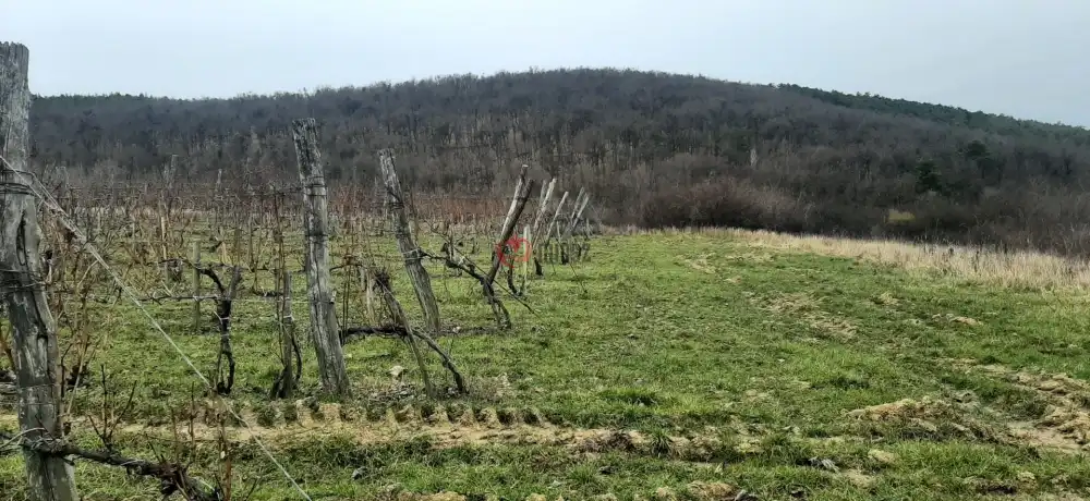 Borsod-Abaúj-Zemplén megye - Tállya