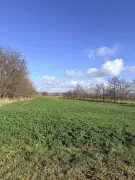 Komárom-Esztergom megye - Tata