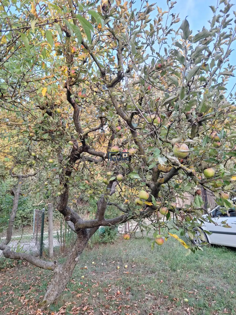 Komárom-Esztergom megye - Tatabánya