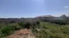 Borsod-Abaúj-Zemplén megye - Tiszatardos