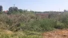 Borsod-Abaúj-Zemplén megye - Tiszatardos