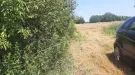 Borsod-Abaúj-Zemplén megye - Tiszatardos