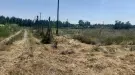 Borsod-Abaúj-Zemplén megye - Tiszatardos