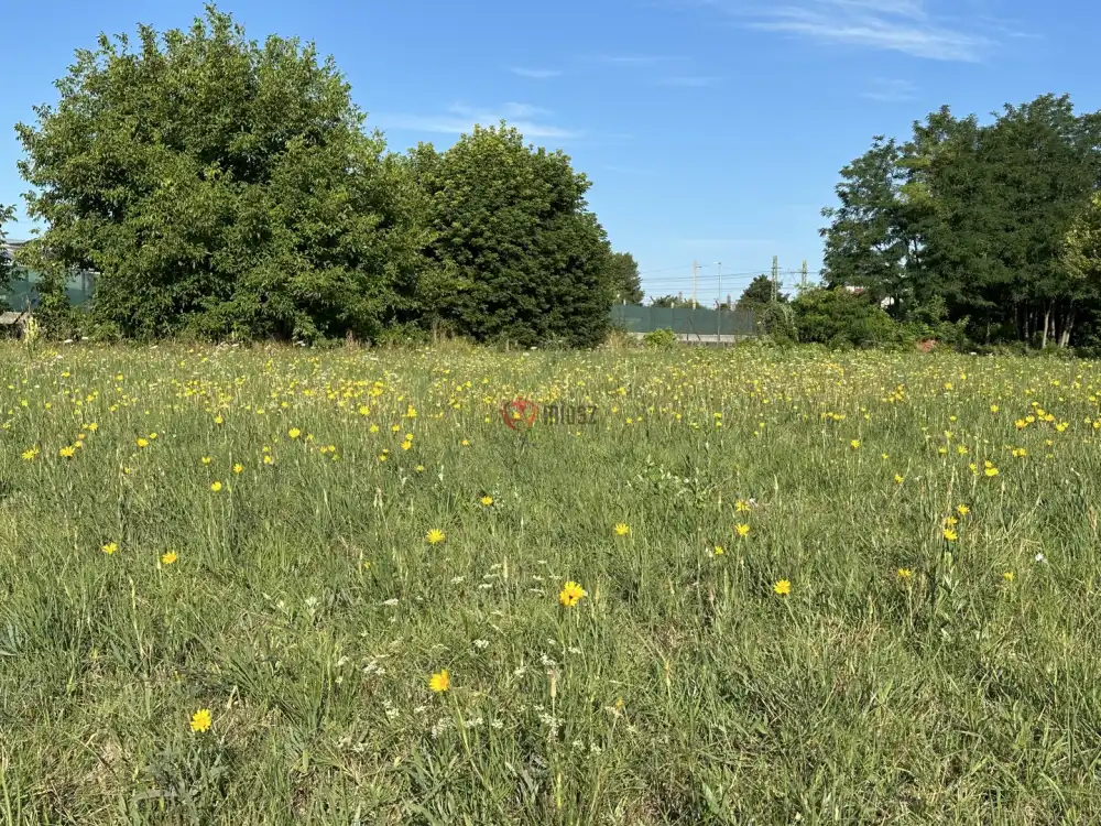 Pest megye - Tököl