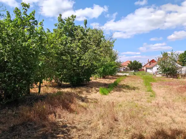 Eladó Építési telek, Újkígyós 1069 m² 1.6 M Ft
