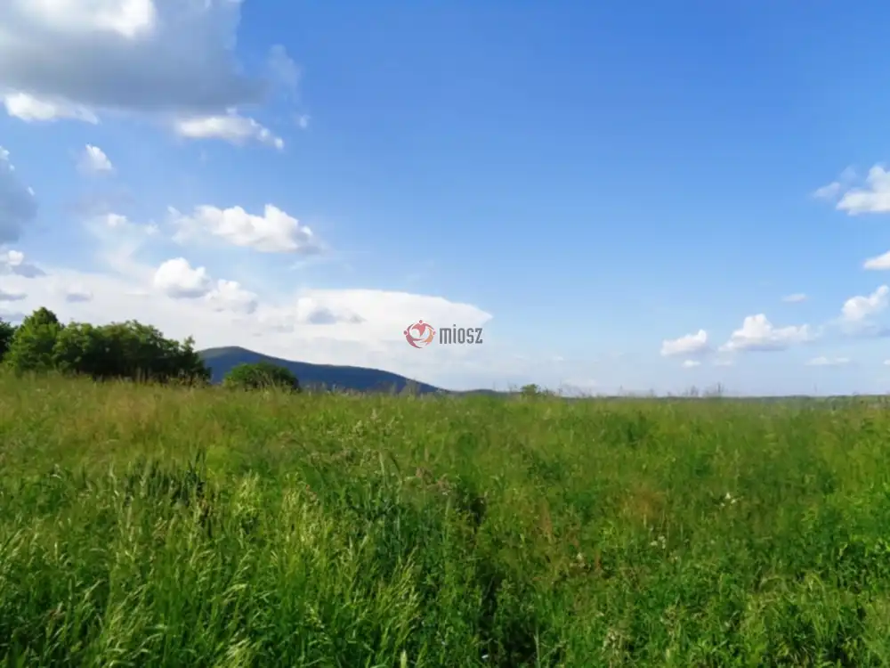 Pest megye - Vác