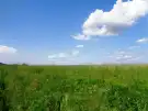 Pest megye - Vác