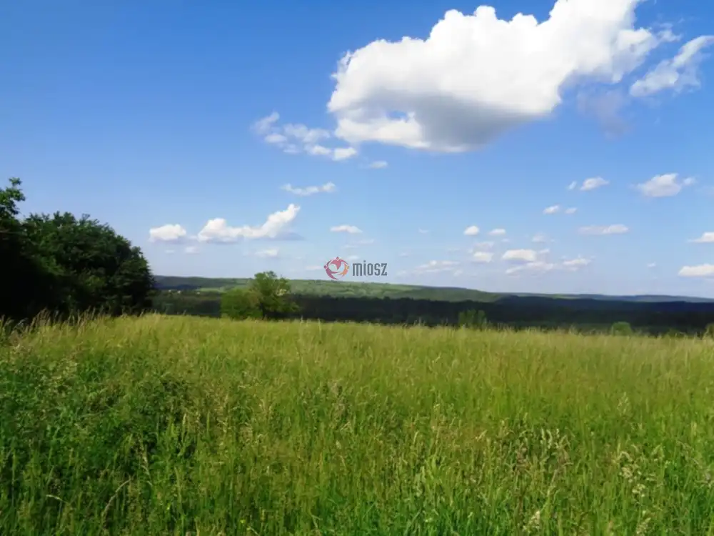 Pest megye - Vác