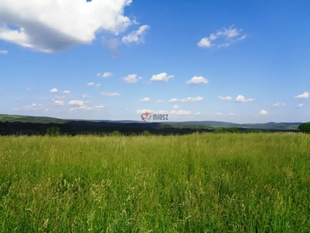 Pest megye - Vác