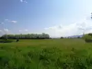 Pest megye - Vác