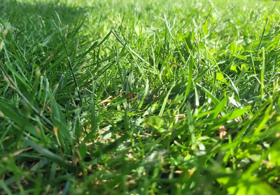 eladó  Építési telek, Vác