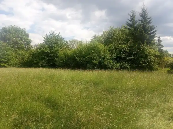 Eladó Építési telek, Viszák 3734 m² 4.99 M Ft