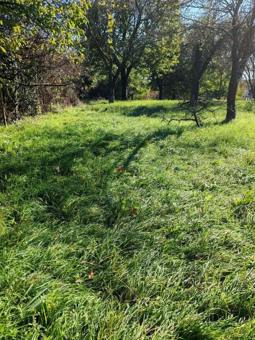 Zala megye - Zalaegerszeg