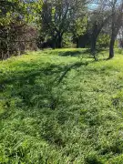 Zala megye - Zalaegerszeg