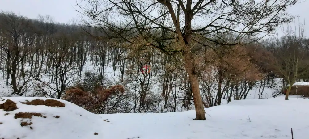 Pest megye - Zebegény