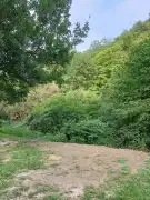 Pest megye - Zebegény