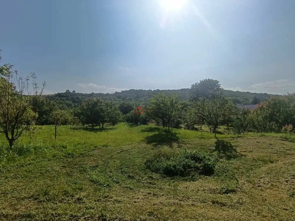 Borsod-Abaúj-Zemplén megye - Zsujta