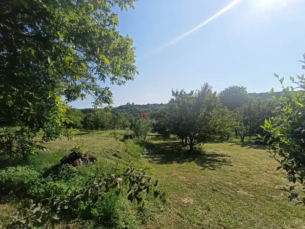 Borsod-Abaúj-Zemplén megye - Zsujta