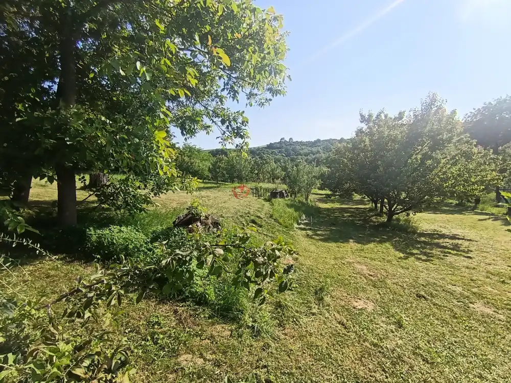 Borsod-Abaúj-Zemplén megye - Zsujta