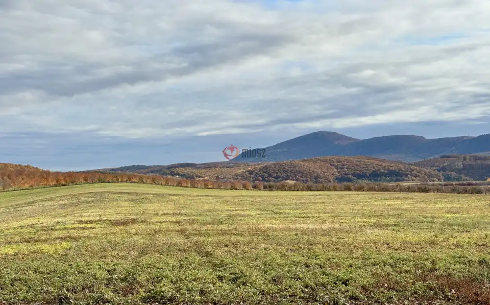 Nógrád megye - Berkenye