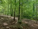 Vas megye - Felsőszölnök