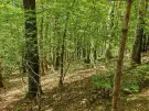 Vas megye - Felsőszölnök