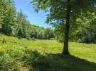 Vas megye - Felsőszölnök