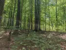 Vas megye - Felsőszölnök
