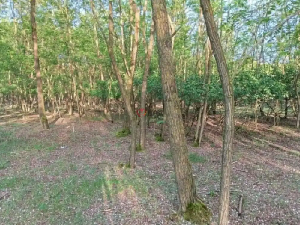 Baranya megye - Siklós