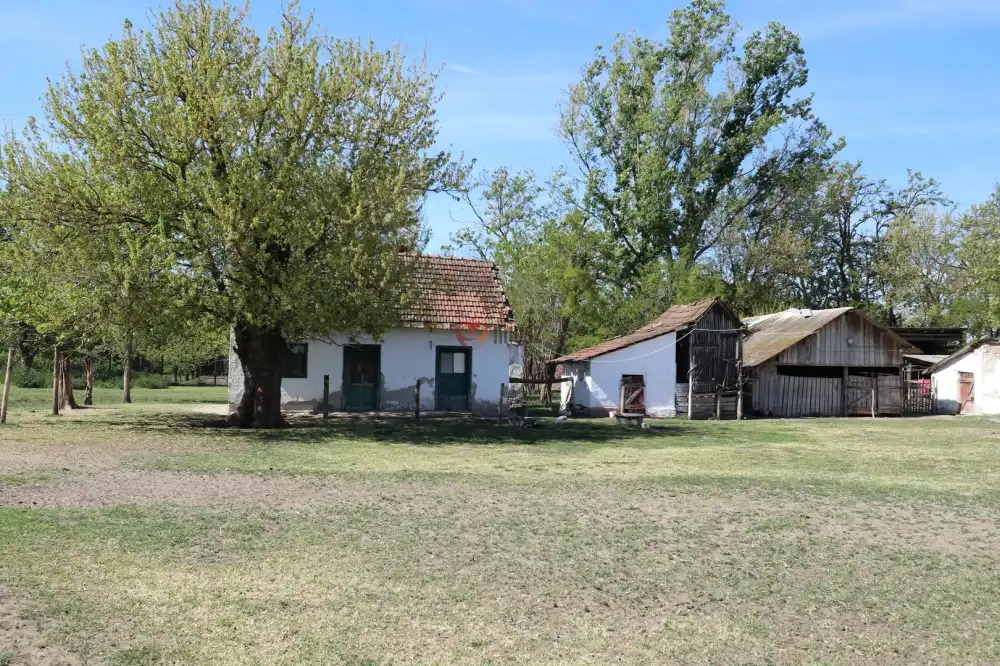 Csongrád megye - Balástya
