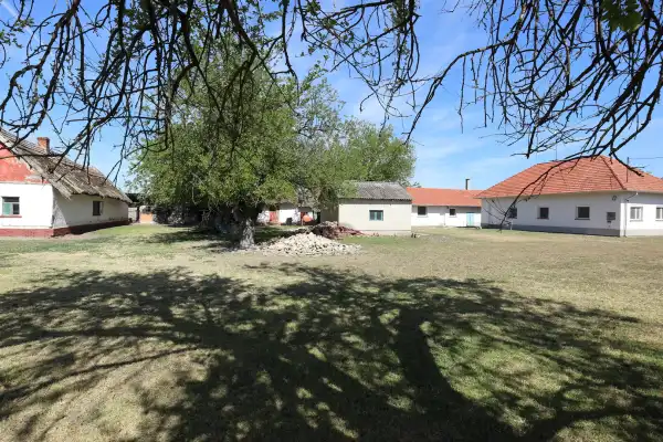Eladó gazdasági ingatlan, Balástya 4 szoba 134 m² 159 M Ft