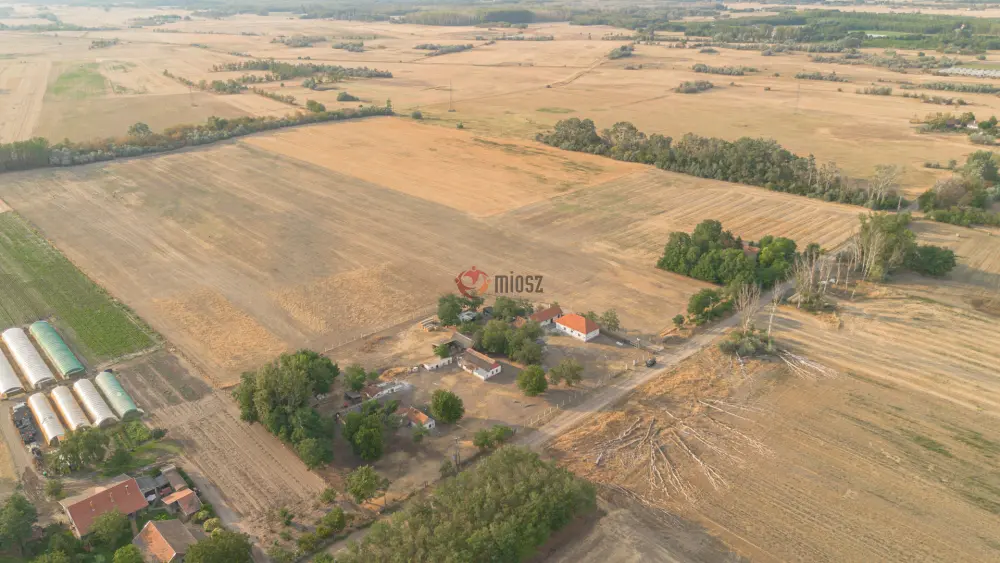 Csongrád megye - Balástya