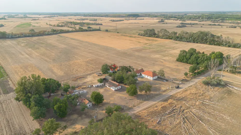 Csongrád megye - Balástya