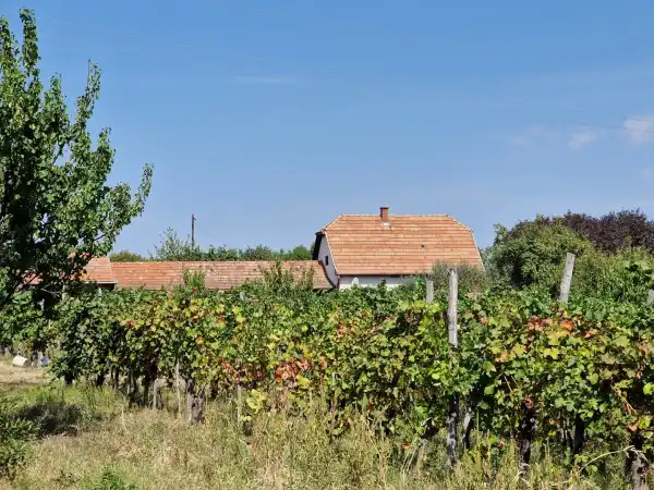 Eladó gazdasági ingatlan, Eger 1 szoba 140 m² 19.9 M Ft