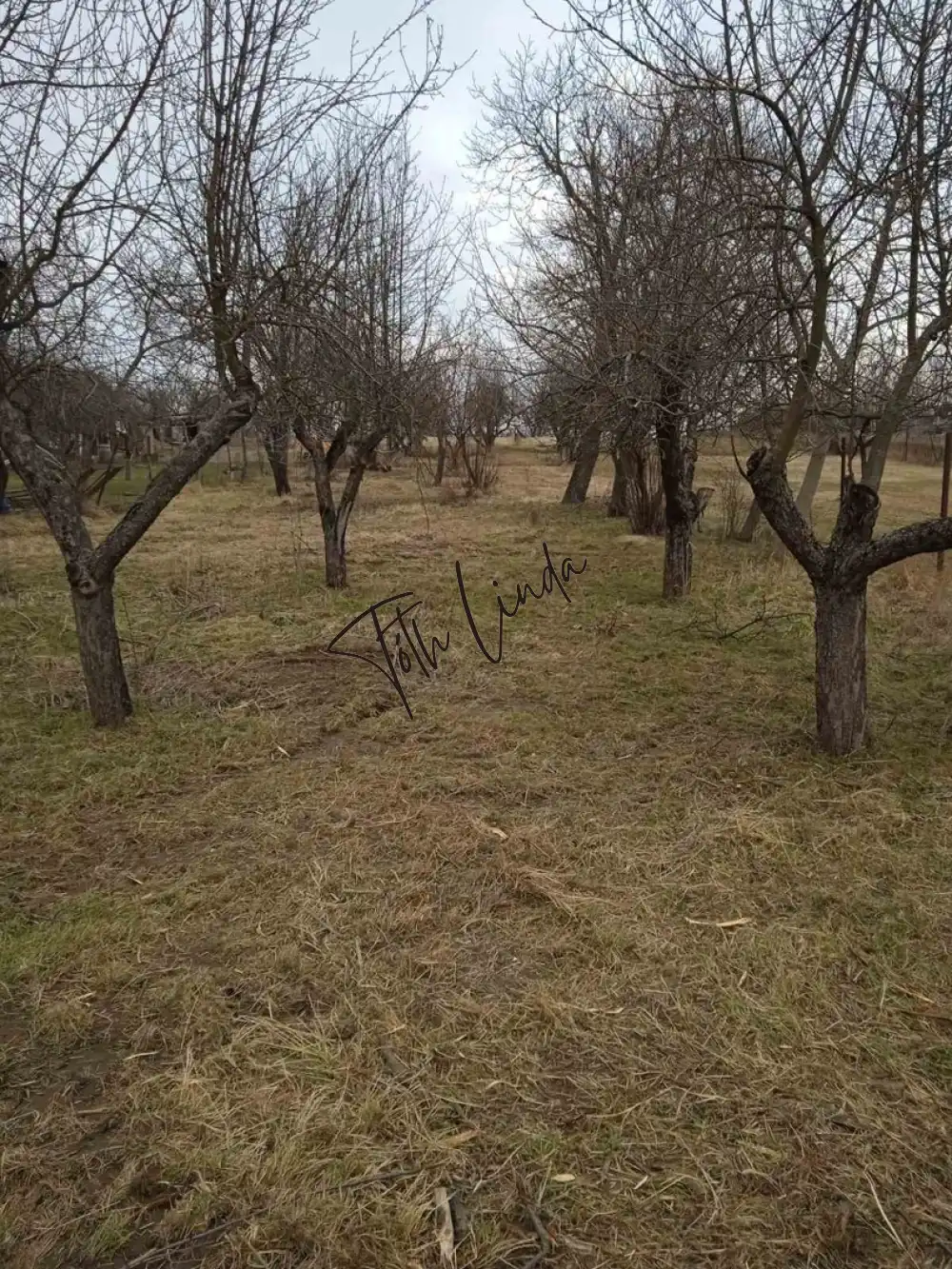 Komárom-Esztergom megye - Oroszlány