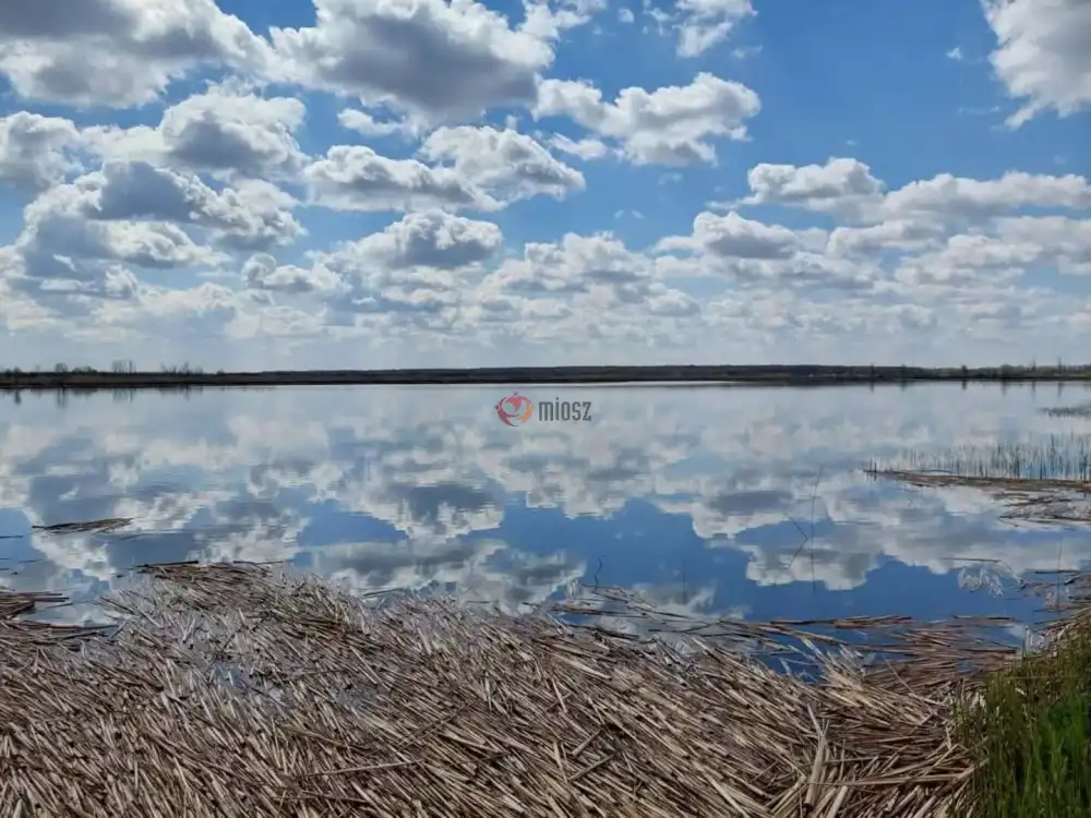 Békés megye - Gyula